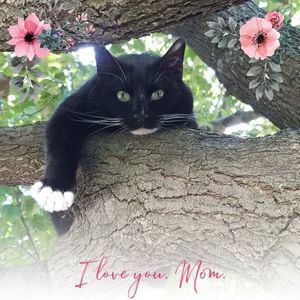 Meet your Posher, Brittney